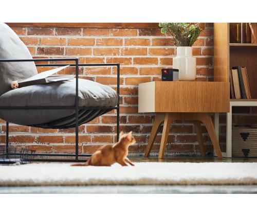 WRL CAMERA PLAY 2/PP20US PETCUBE (LEMMIKKIKUUTIO)