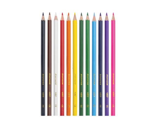 BIC Aquacouleur värikynät 12 väriä