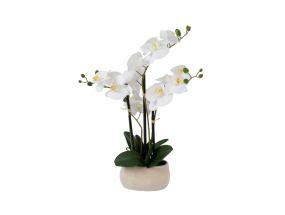 Valkoinen orkidea 4 oksalla IN GARDEN, H55cm, harmaa ruukku