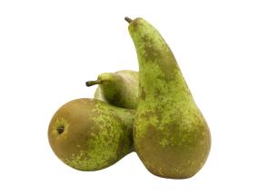 PolttimoKONFERENSSI 5kg