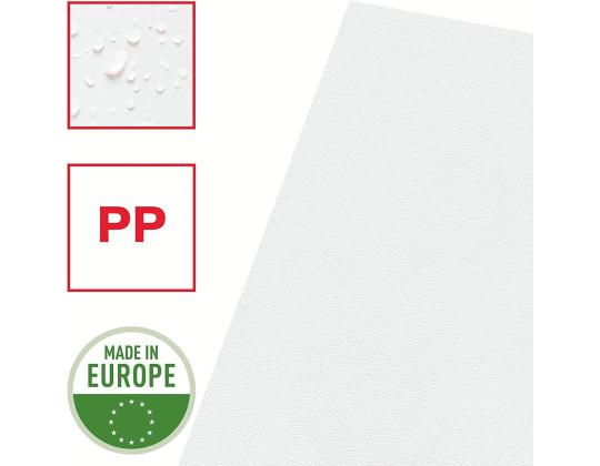 Muovitasku A4 (L) 100 mic Esselte 100 kpl paketissa