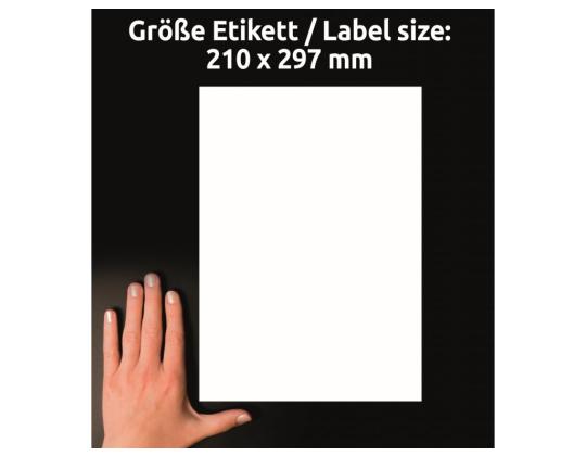 Tarratarra valmistettu polyesterikalvosta säänkestävästä AVERY Zweckform 210x297mm 20l pysyvällä liimalla (L4775-20)