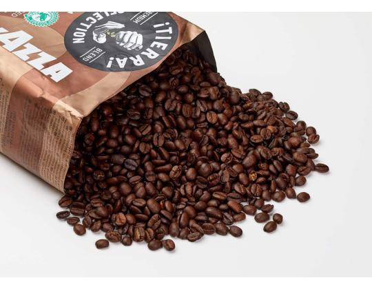 Kahvipavut LAVAZZA Tierra Selection 1kg