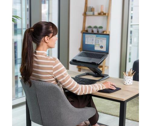 NB ACC STAND HANA LT/MUSTA 100016994 FELLOWES