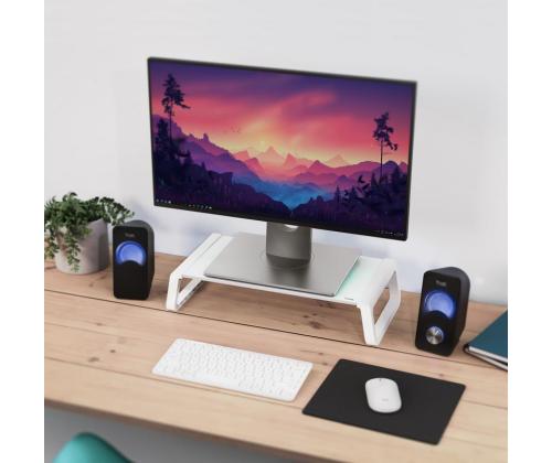 MONITORIN LIITÄNTÄTELINE MONTA/LASI WHT 25351 TRUSTI
