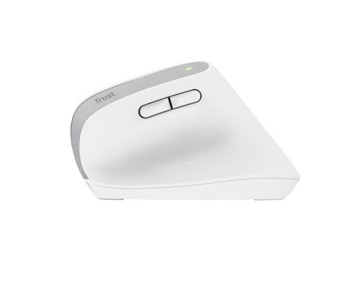HIIRI USB OPTINEN WRL BAYO+/ERGONOMIC WHT 25399 TRUSTI