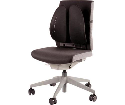 TUOLIN SELKÄTUKI/SELKÄENKELI 8026401 FELLOWES