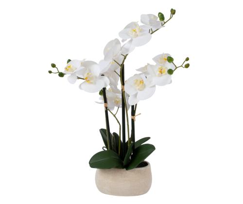 Valkoinen orkidea 4 oksalla IN GARDEN, H55cm, harmaa ruukku