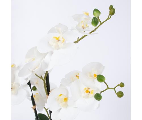 Valkoinen orkidea 4 oksalla IN GARDEN, H55cm, harmaa ruukku