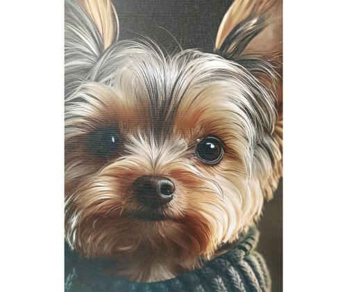 Taustakuva WALLY 50x50cm, pieni koira