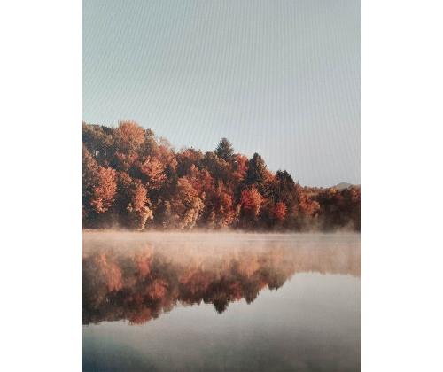 Taustakuva WALLY 60x80cm, maisema järven rannalla