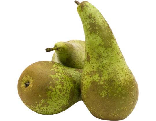 PolttimoKONFERENSSI 5kg