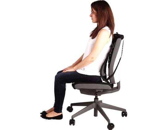 Selkätuki ergonominen Felloes Office