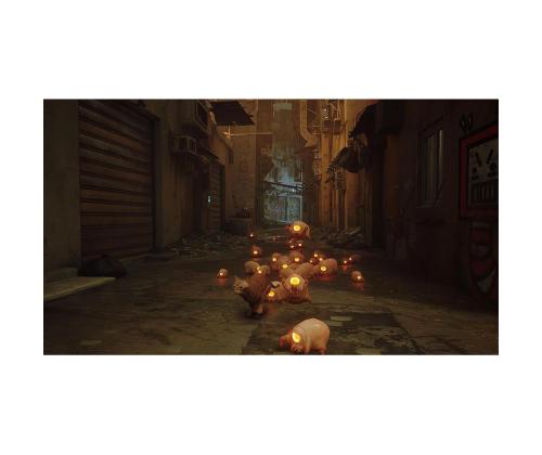 Stray, Nintendo Switch - Peli