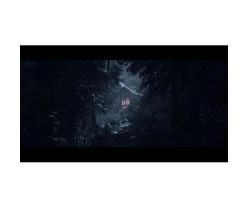 Until Dawn, Playstation 5 - Peli