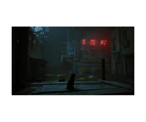 Stray, Nintendo Switch - Peli