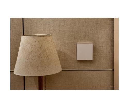 Aqara Smart Wall Switch H1, neutraalilla - Älykäs seinäkytkin