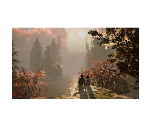 Life is Strange 2, Nintendo Switch - Peli