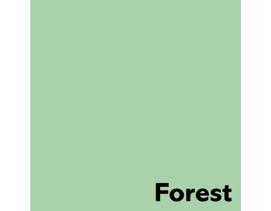 Värviline paber A3 80g IMAGE Coloraction nr.65 pastelne roheline (Forest) 500 lehte