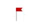 Karttaneula flags 50kpl rasia