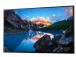 LCD-MONITORI 24" U2424H IPS/WITHOUT STAND 210-BLBT DE