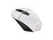 HIIRI USB OPTINEN WRL VALKOINEN/GXT110W FELOX 25069 LUOTTAMUS