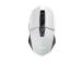 HIIRI USB OPTINEN WRL VALKOINEN/GXT110W FELOX 25069 LUOTTAMUS