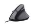 HIIRI USB OPTINEN BAYO II/ERGONOMINEN MUSTA 25144 TRUSTI