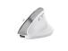 HIIRI USB OPTINEN WRL BAYO+/ERGONOMIC WHT 25399 TRUSTI