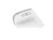 HIIRI USB OPTINEN WRL BAYO+/ERGONOMIC WHT 25399 TRUSTI