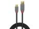 KAAPELI USB2 C-A 2M/ANTHRA 36887 LINDY LINDY