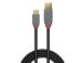 KAAPELI USB2 C-A 3M/ANTHRA 36888 LINDY LINDY
