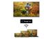 LCD-televisio 43" QLED 4K/43QG7C04 THOMSON