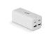 LATURI USB 4PORT 100W/73441 LINDY LINDY
