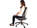 Selkätuki ergonominen Felloes Office