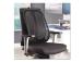Selkätuki ergonominen Felloes Office