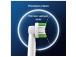 Braun Oral-B Precision Clean Pro, 6 tk, valkoinen - Varuharjad