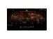 Darkest Dungeon 2, Nintendo Switch - Peli