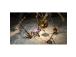 Pikmin 1 + 2, Nintendo Switch - peli