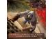 Assassin´s Creed Mirage, PlayStation 5 - Peli