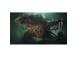 Lords Of The Fallen, PlayStation 5 - Peli