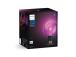 Philips Hue G125 Globe Large, E27, musta - LED-valaisimet