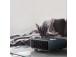 Rowenta Silence Comfort, 2400 W, tumehall - Soojapuhur